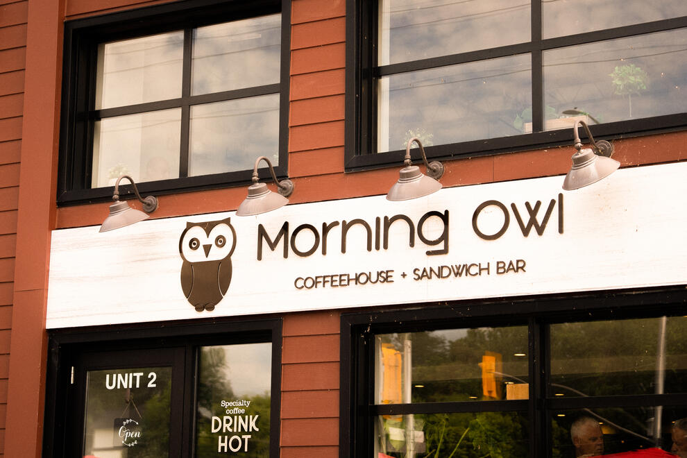 Morning Owl - Manotick